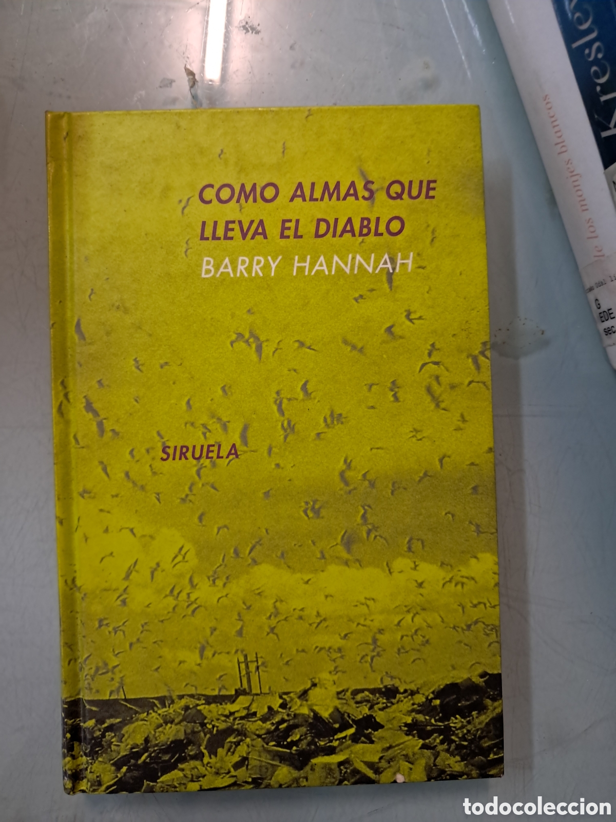 Libros: Barry Hannah, C&oacute;mics almas que lleva el diablo, Siruela
