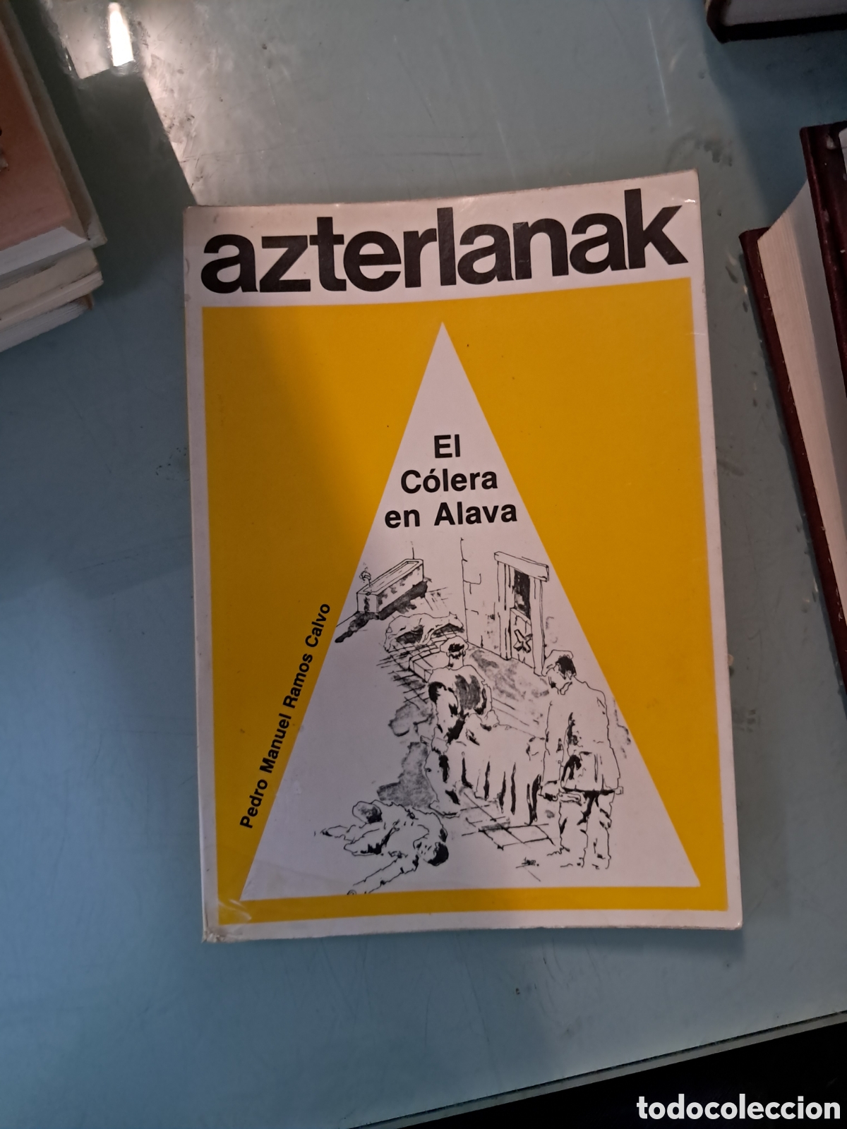 Libros: Azterlanak, El c&oacute;lera en &Aacute;lava, Pedro Manuel Ramos Calvo