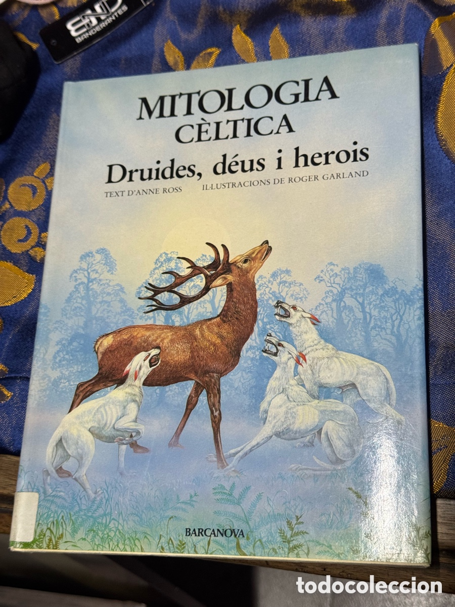 Libros: Mitolog&iacute;a c&eacute;ltica Druides d&eacute;us i herois