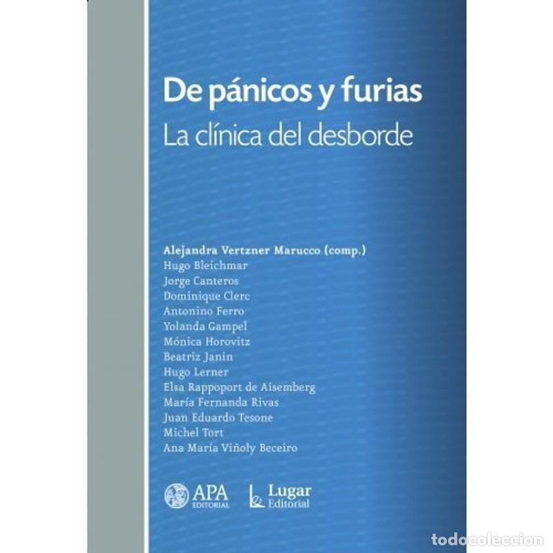 B&uuml;cher: De p&aacute;nico y furias la cl&iacute;nica del desborde - Hugo B. Bleichmar