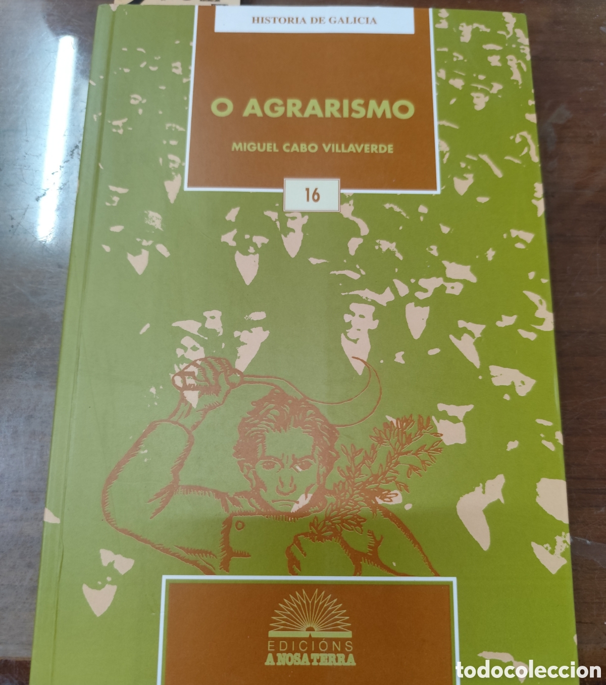 Libros: O AGRARISMO. Historia de Galicia n&ordm; 16. 1&ordf; Edici&oacute;n. A&ntilde;o 1998 - CABO VILLAVERDE,Miguel