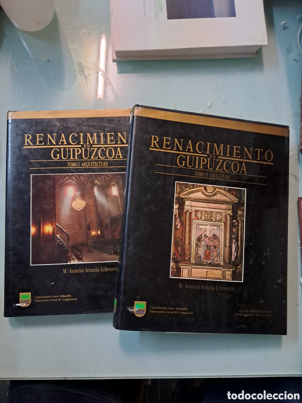 Libros: M.Asuncion Arrazola Echeverria, Renacimiento en Guip&uacute;zcoa, 2 tomos Diputaci&oacute;n Foral de Guip&uacute;zcoa