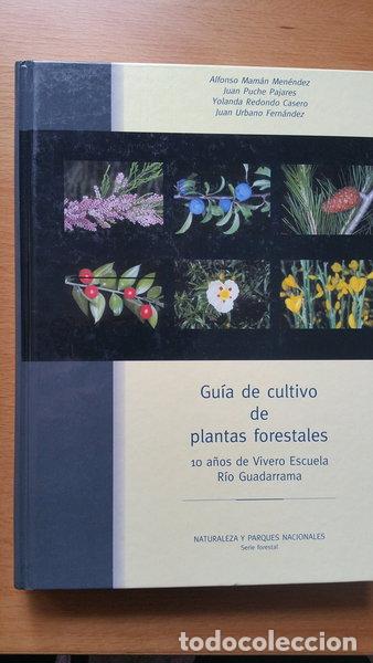 Livros em segunda m&atilde;o: Gu&iacute;a de cultivo de plantas forestales: 10 a&ntilde;os de Vivero Escuela R&iacute;o Guadarrama- 9788480145114