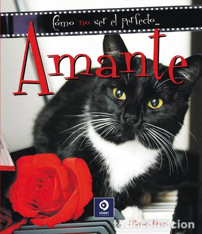 Libros: C&oacute;mo no ser el perfecto amante- 9788497940696