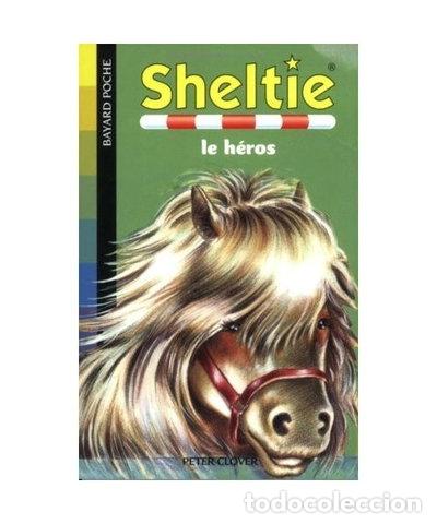 Libros: Sheltie, le h&eacute;ros- 9782747018197