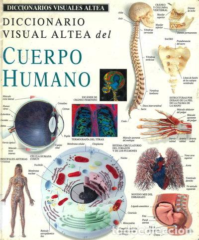 Livres: Diccionario Visual Altea del Cuerpo Humano- 9788437245287