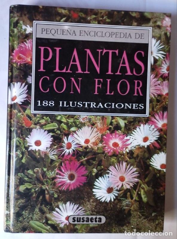 Livres: Peque&ntilde;a enciclopedia de plantas con flor. 188 Ilustraciones - Bohdan Krisa