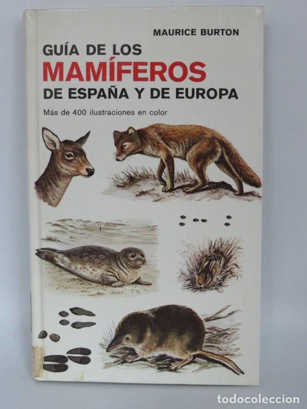 Libros: Gu&iacute;a de los Mam&iacute;feros de Espa&ntilde;a y Europa - Maurice Burton - Omega - 1985, 1&ordf; ed. - Gu&iacute;as del Natural