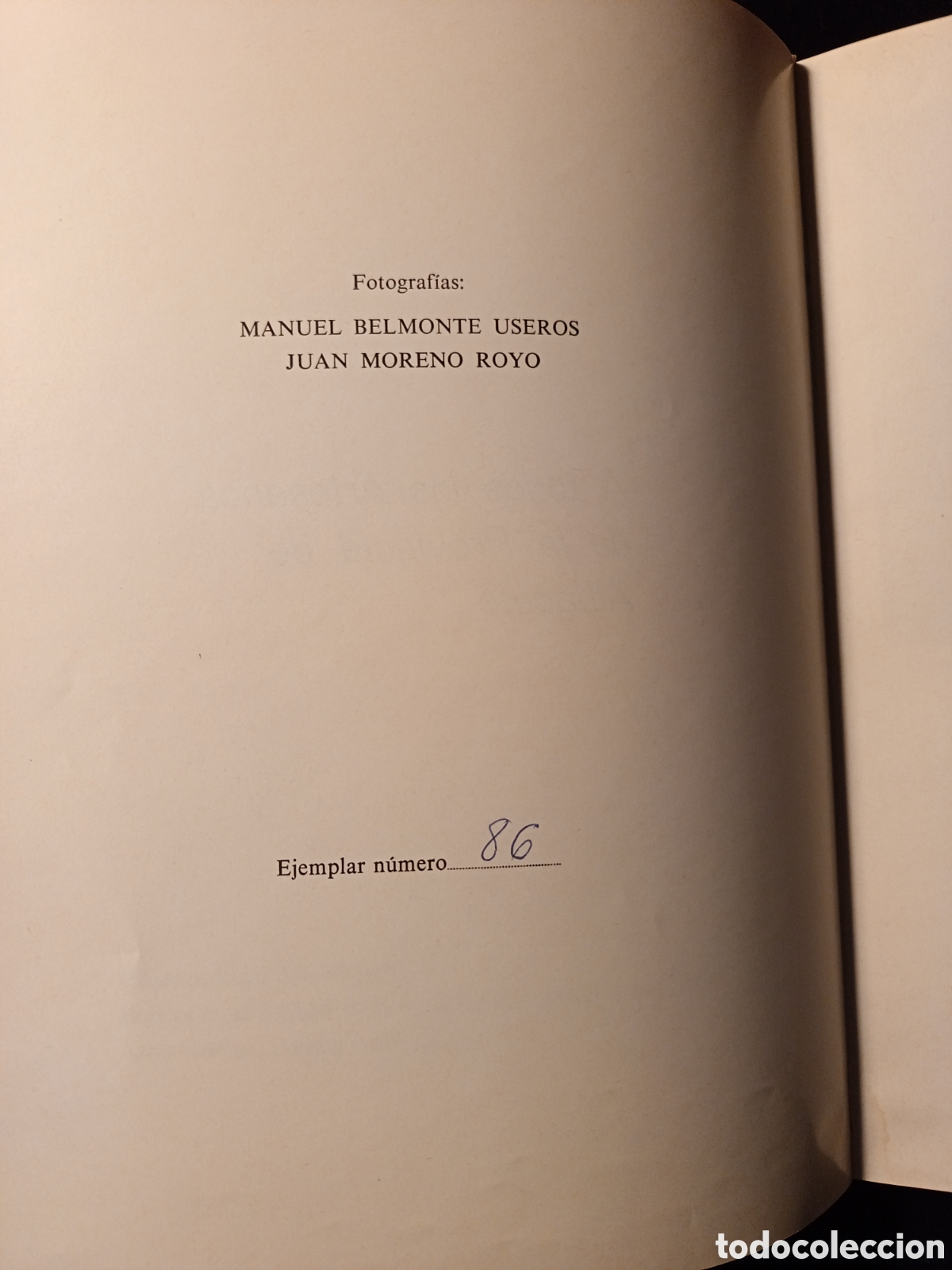 Libros: EN BUSCA DE LA ARTESAN&Iacute;A DE ALBACETE - Foto 8