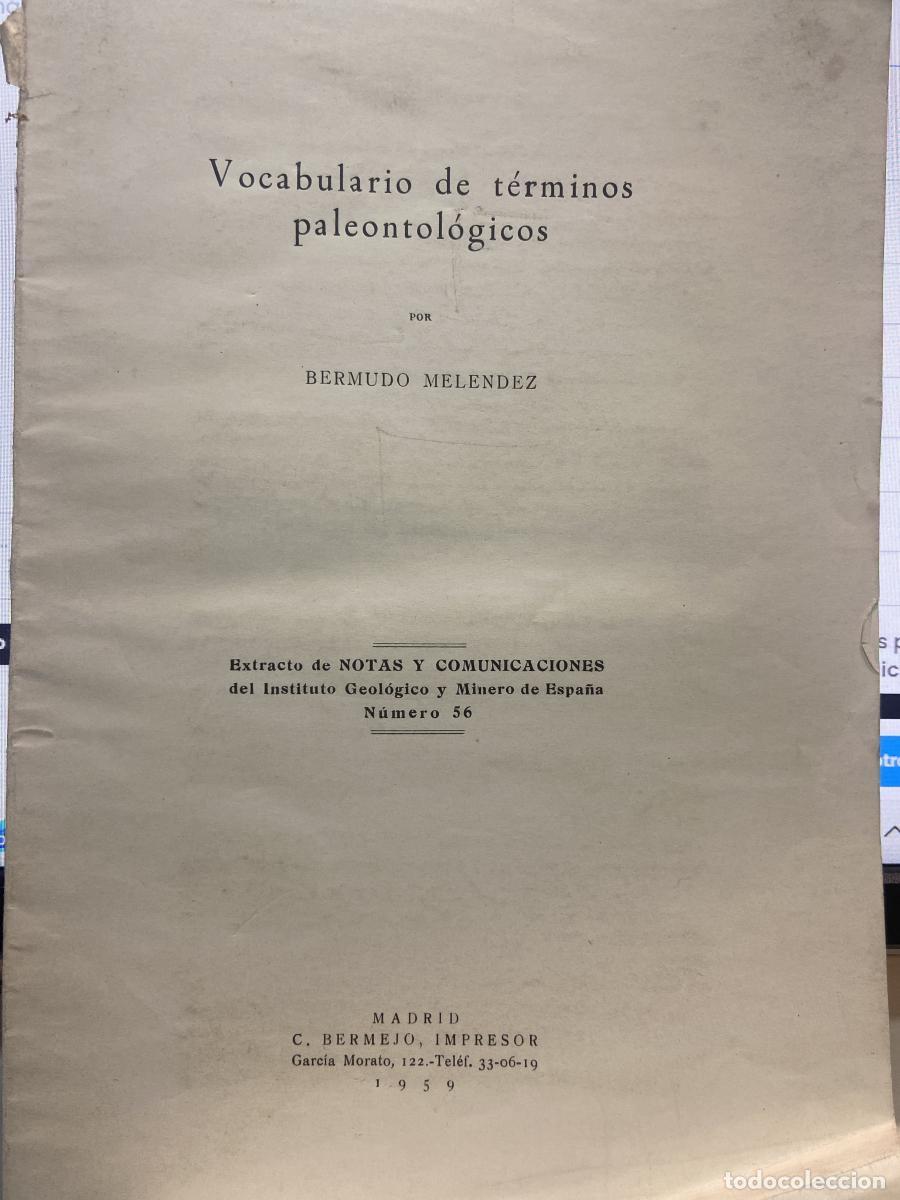 Libros: VOCABULARIO DE T&Eacute;RMINOS PALEONTOL&Oacute;GICOS - Bermudo Mel&eacute;ndez