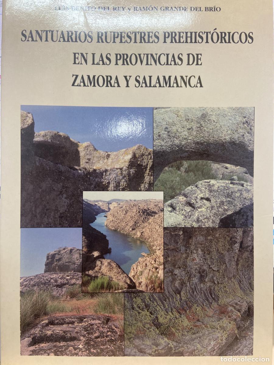 Libros: Santuarios rupestres prehist&oacute;ricos en las provincias de Zamora y Salamanca. - Luis Benito del Rey, R