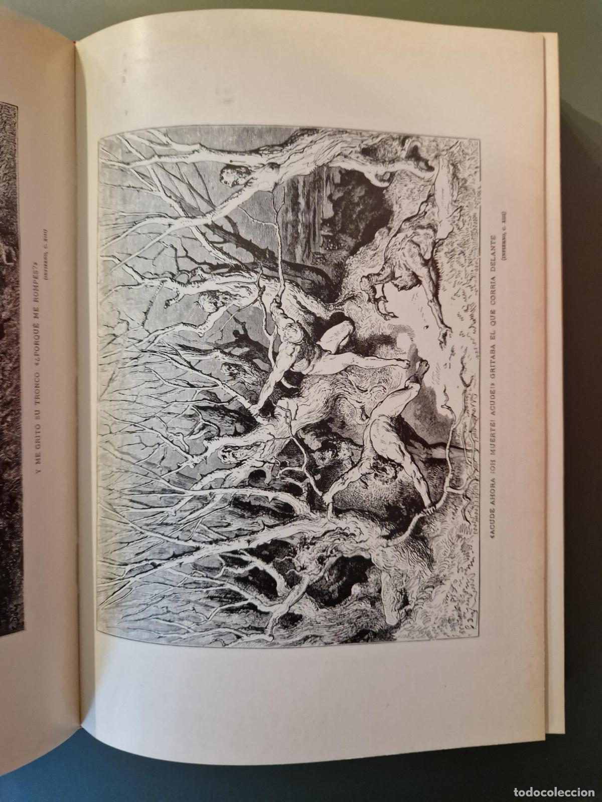 Libros: La divina comedia (Ilustrada) - Dante Alighieri - Foto 3