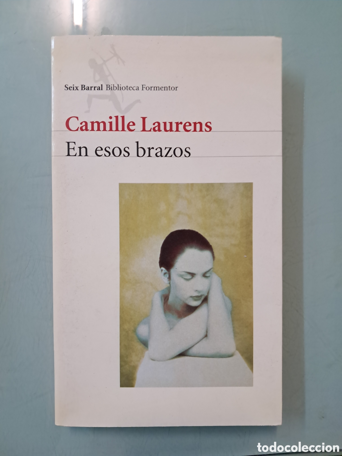 Libros: Camille Laurens, En esos brazos, Seix Barral