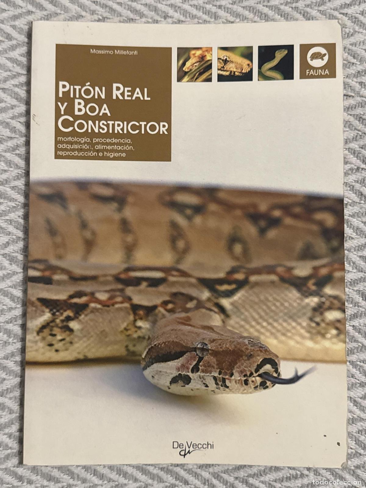 Libros: Pit&oacute;n real y boa constrictor - Millefanti, Massimo