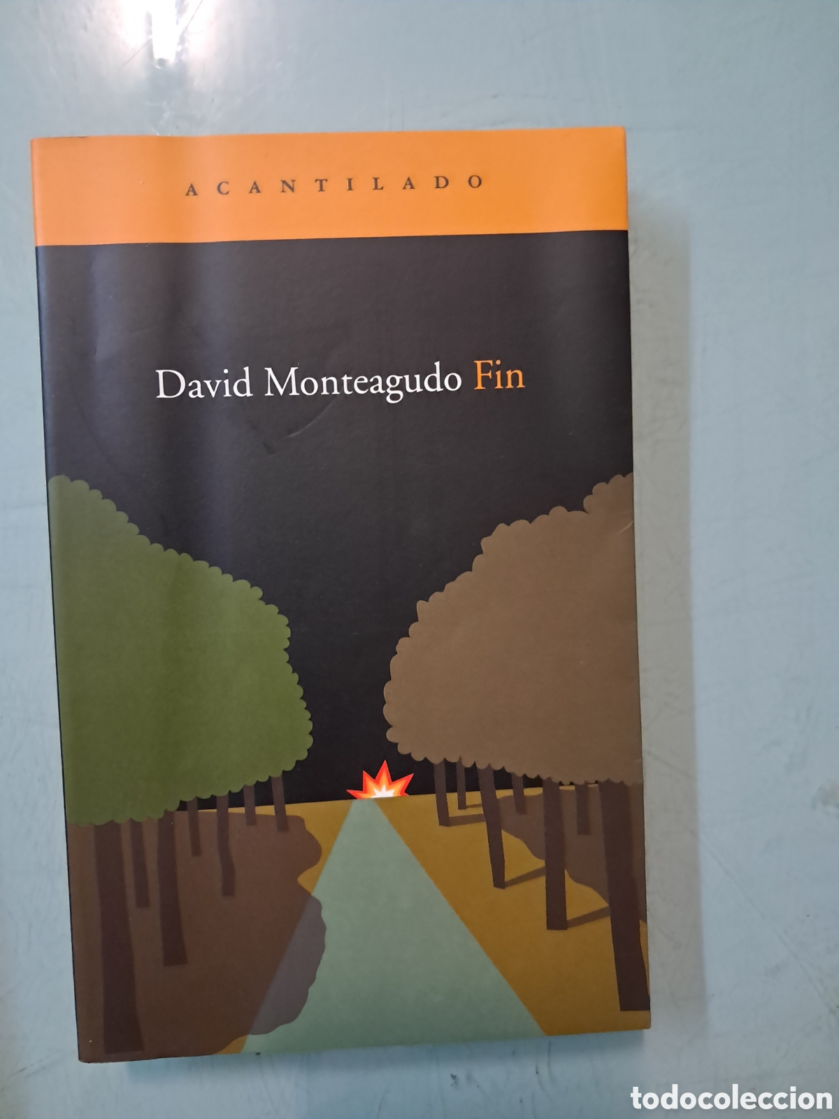 Libros: David Monteagudo,Fin, Acantilado 162 - Foto 1