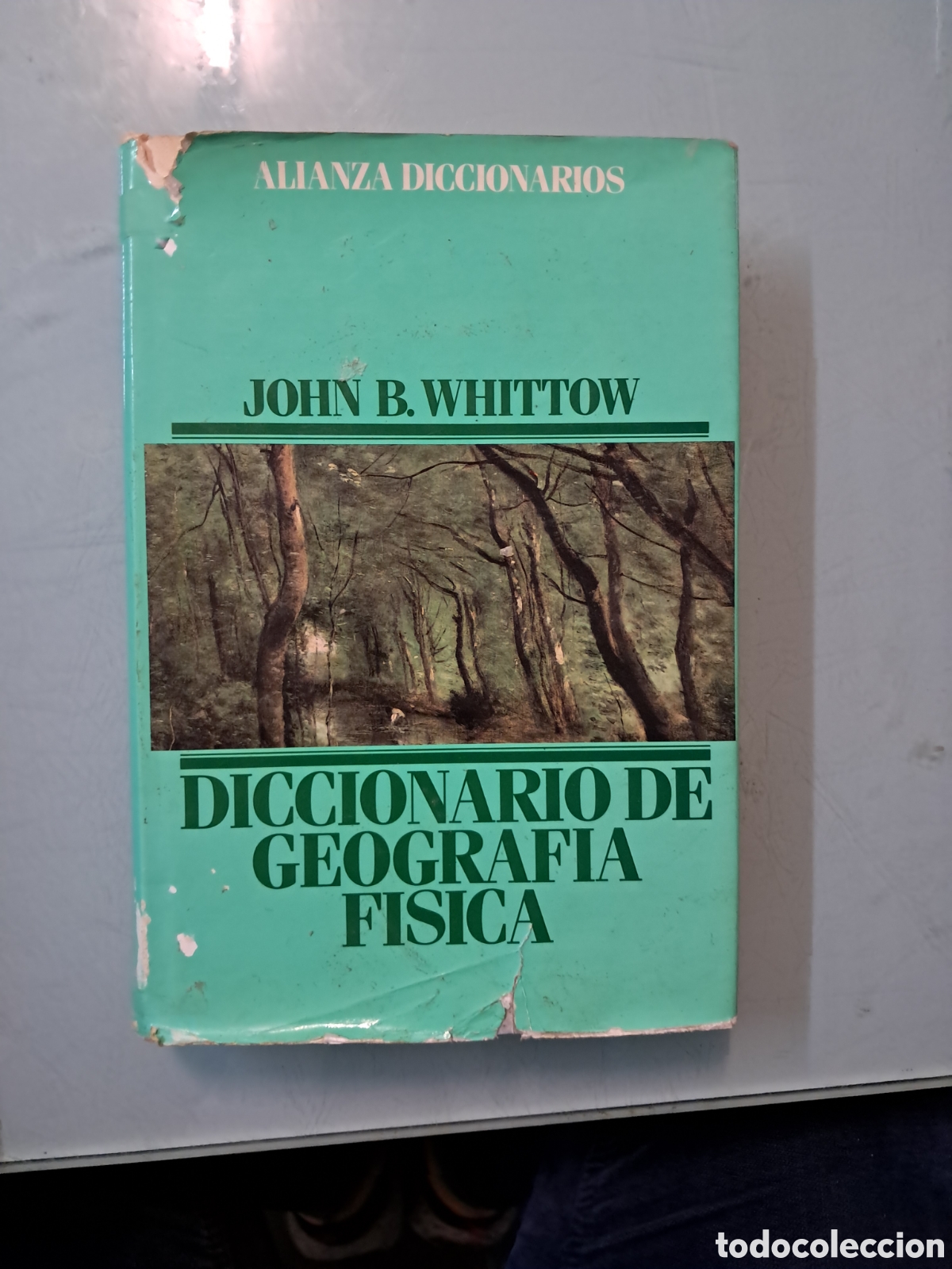 Libros: John B. Whittow,Diccionario de geograf&iacute;a f&iacute;sica, Alianza