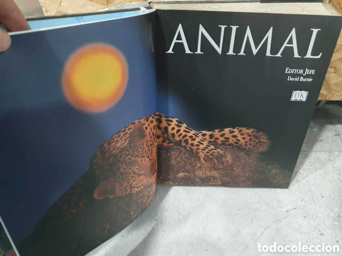 Libros: Libro mundo animal. Ed. Alhambra. (L98) - Foto 2