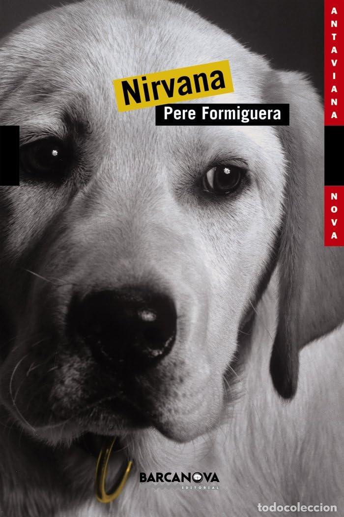 Libros: Nirvana (Llibres infantils i juvenils - Antaviana - Antaviana Nova)