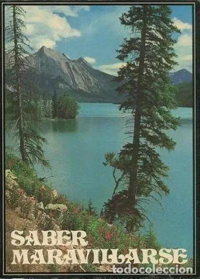 Libros: Saber maravillarse- 9788428508384