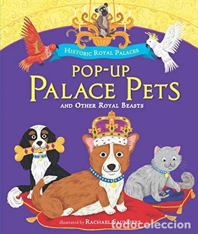 Livres: Pop-Up Palace Pets- 9781406387940