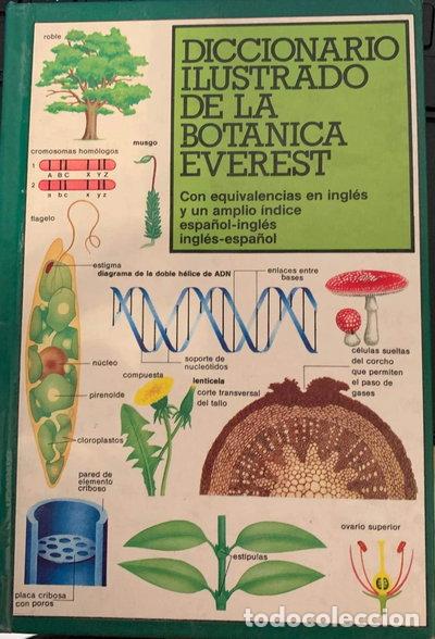 books: Diccionario Ilustrado de la Bot&aacute;nica Everest- 9788424115234