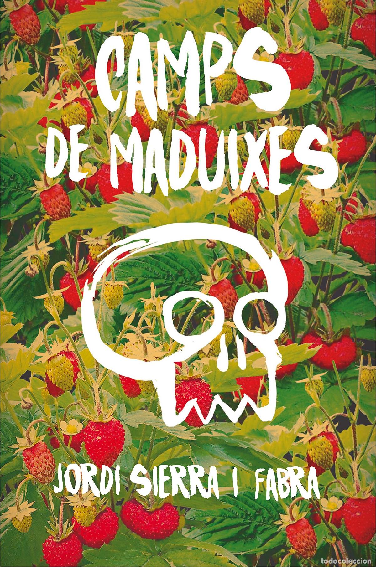 Livres: Camps de maduixes: 178 (Gran Angular)
