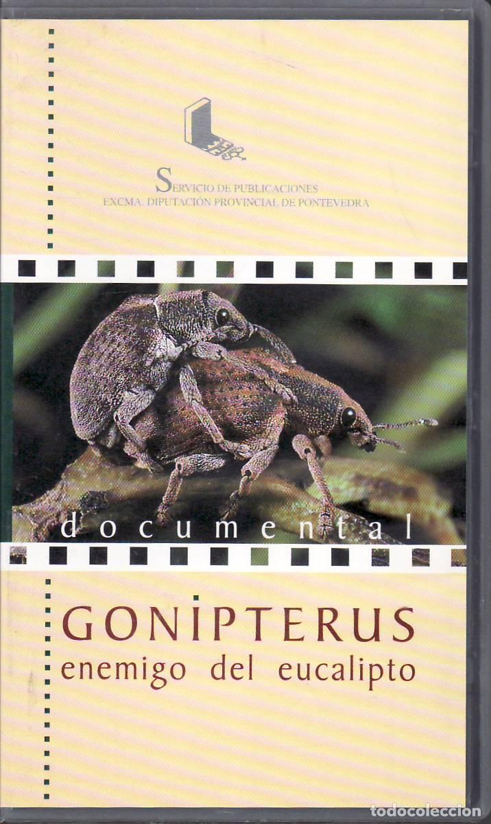 B&uuml;cher: CASTRO, Roberto y Marcelo MARTINEZ (Guionistas).- - Documental: Gonipterus, enemigo del eucalipto.