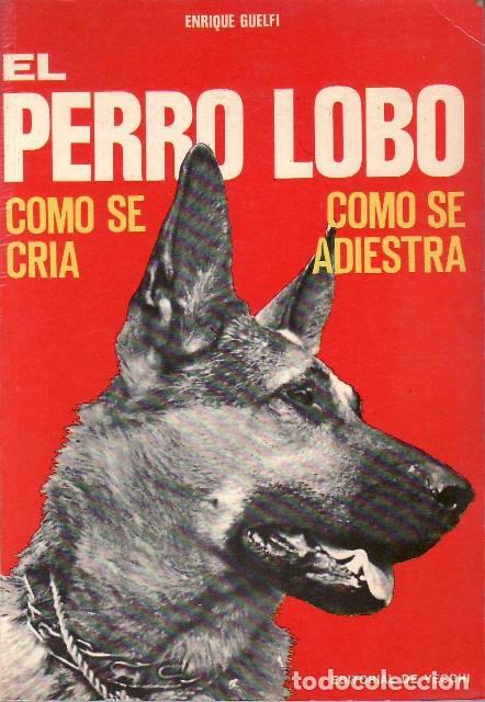 Libros: GUELFI, Enrique.- - El perro lobo. C&oacute;mo se cr&iacute;a y c&oacute;mo se adiestra.