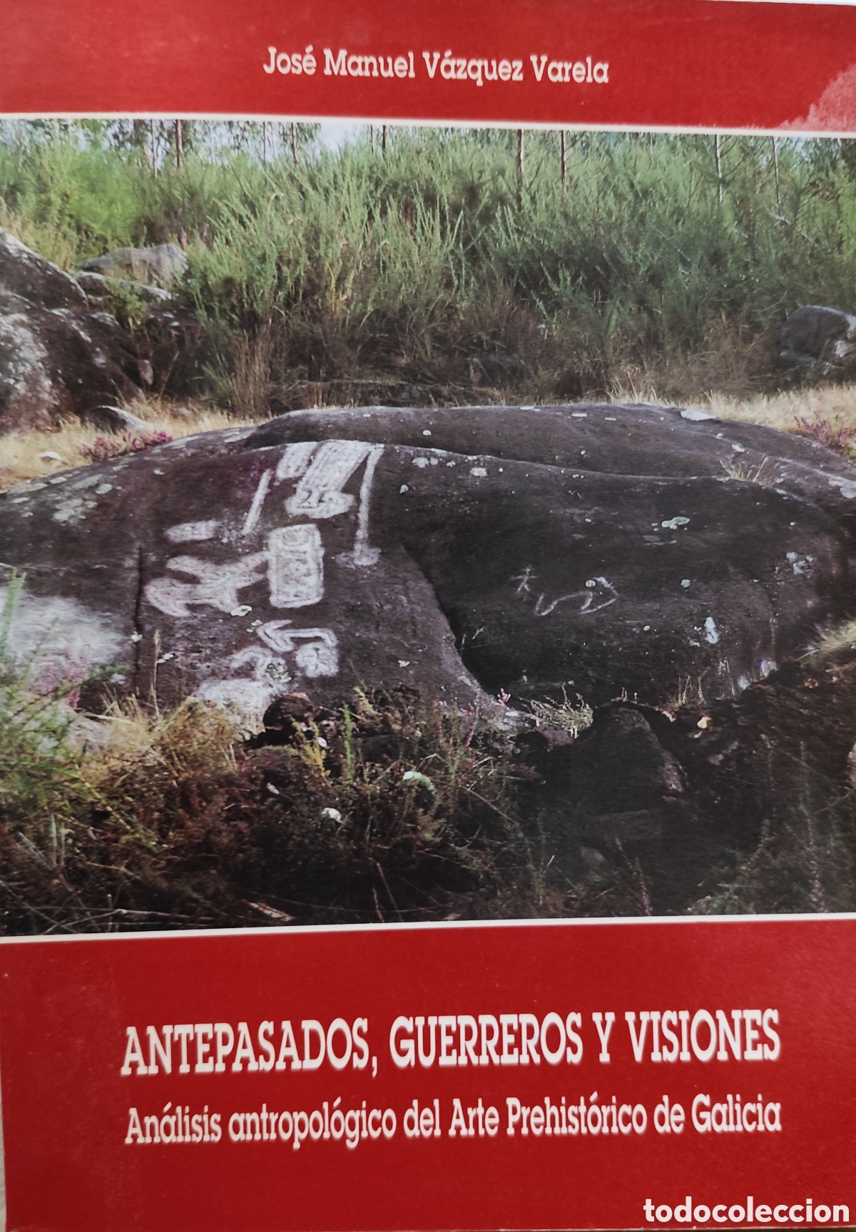 Libros: ANTEPASADOS,GUERREROS Y VISIONES. An&aacute;lisis antropol&oacute;gico del arte prehist&oacute;rico de Galicia - VAZQUEZ