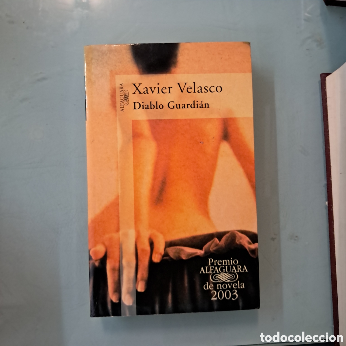 Libros: Xabier Velasco,Diablo Guardi&aacute;n ,Alfaguara