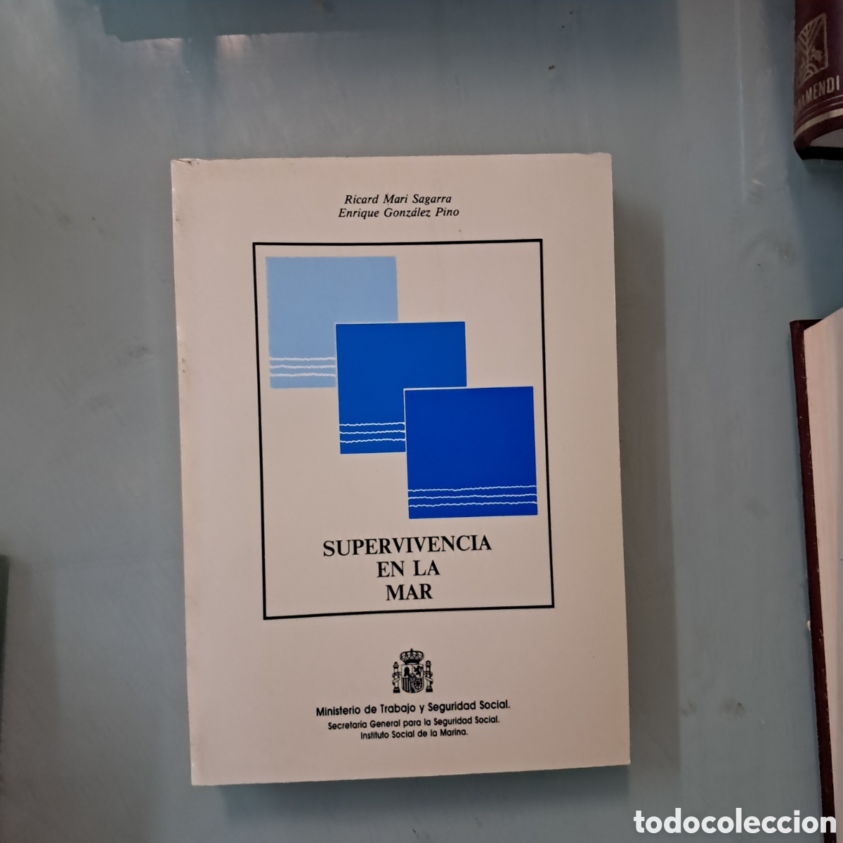 Libros: Ricardo Mari Sagarra, Supervivencia en la mar