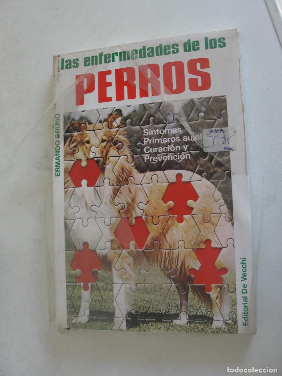 Libros: LAS ENFERMEDADES DE LOS PERROS - DE VECCHI - PRECINTADO - ERMANDO BRUNO - Foto 1