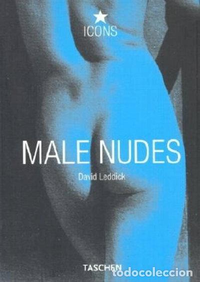 Livres: Male Nudes- 9783822855263