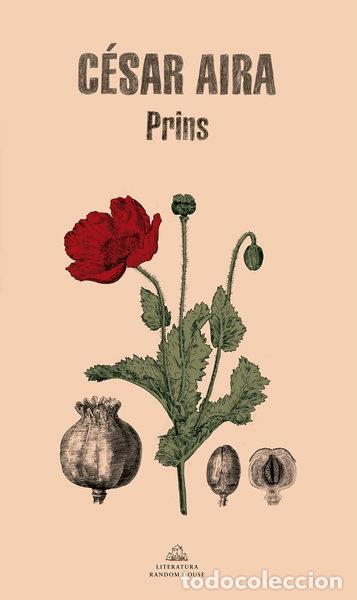 Libros: Prins- 9788439734352