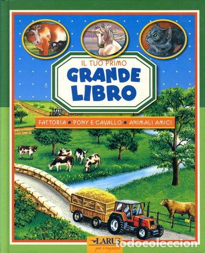 Livros em segunda m&atilde;o: Il tuo primo grande libro della fattoria, pony, cavallo, animali amici- 9788859948070