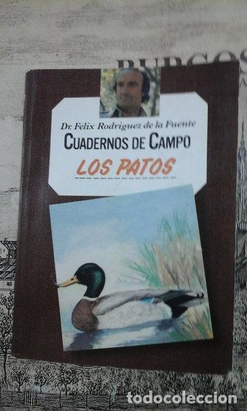 B&uuml;cher: Los Patos- 9788471025258