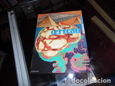 Livres: Le cerveau- 9782092090718