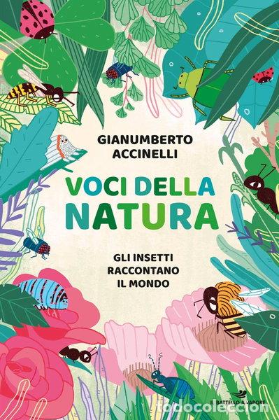 Libri di seconda mano: Voci della natura. Gli insetti raccontano il mondo- 9788856673104