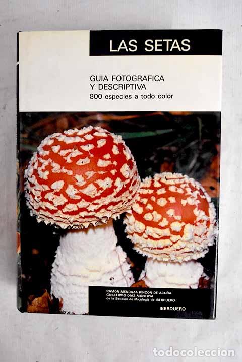 B&uuml;cher: Las setas: gu&iacute;a fotogr&aacute;fica y descriptiva.- Mendaza Rinc&oacute;n de Acu&ntilde;a, Ram&oacute;n