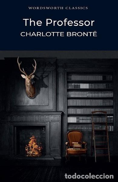 books: The Professor- 9781853262081
