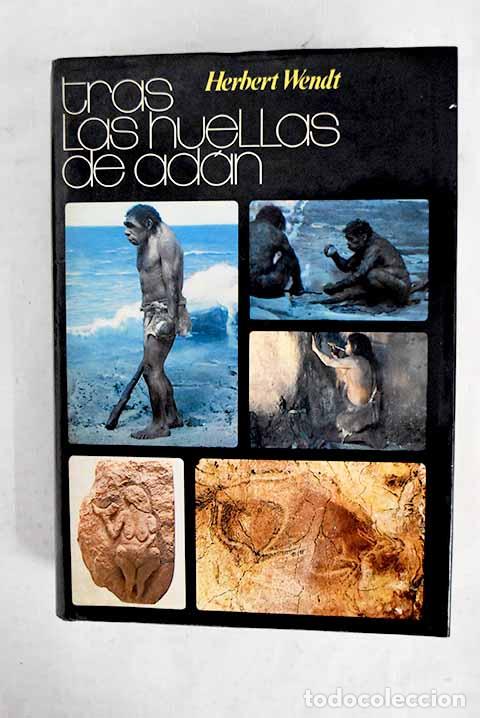 Libri di seconda mano: Tras las huellas de Ad&aacute;n: la novela del origen del hombre.- Wendt, Herbert