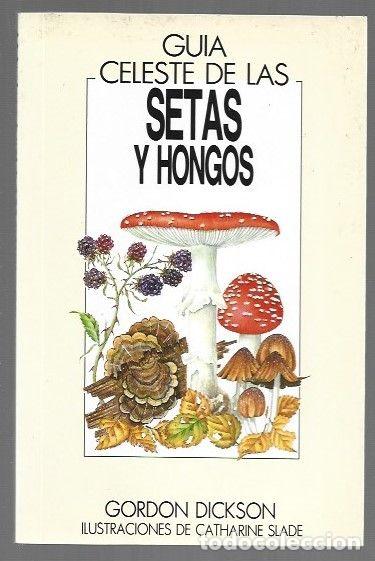 Libros: GUIA CELESTE DE LAS SETAS Y HONGOS DE EUROPA - DICKSON, GORDON