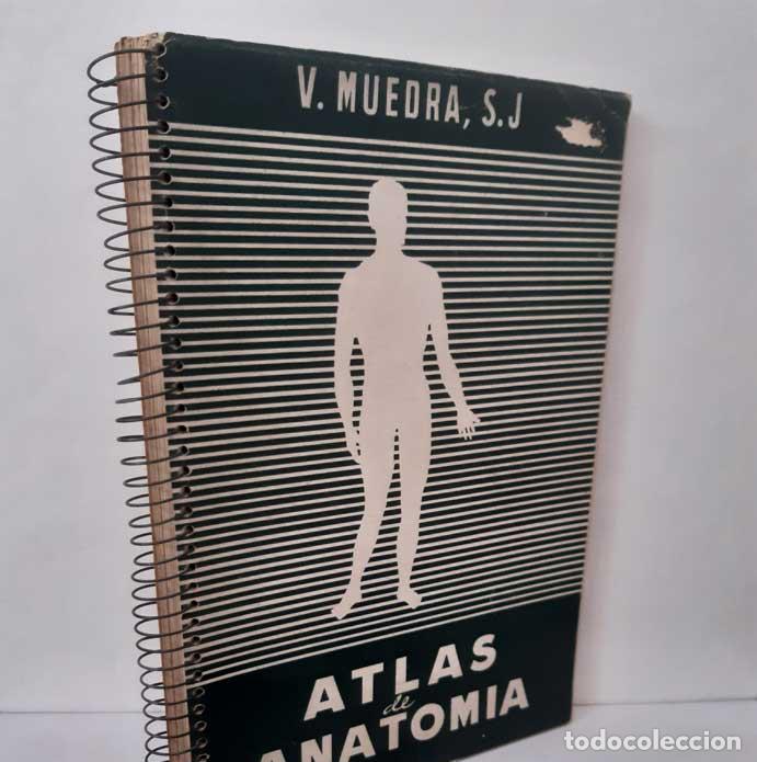 B&uuml;cher: ATLAS DE ANATOM&Iacute;A - MUEDRA, V.
