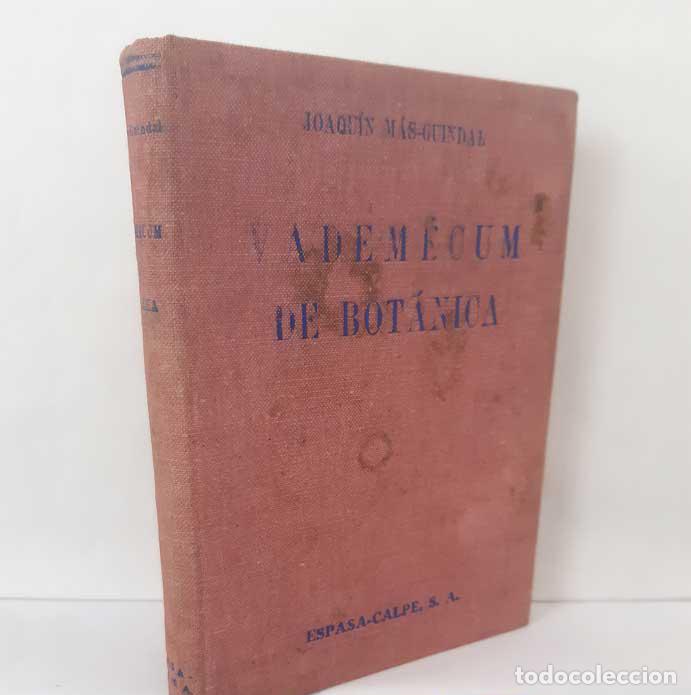books: VADEM&Eacute;CUM DE BOT&Aacute;NICA - M&Aacute;S-GUINDAL, JOAQU&Iacute;N
