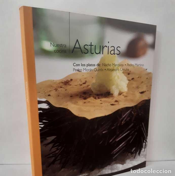 books: ASTURIAS - MANZANO, NACHO Y OTROS
