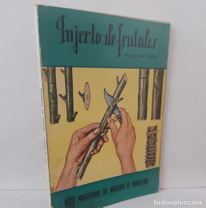 Livros em segunda m&atilde;o: INJERTO DE FRUTALES - PICAZA, JOS&Eacute; DE