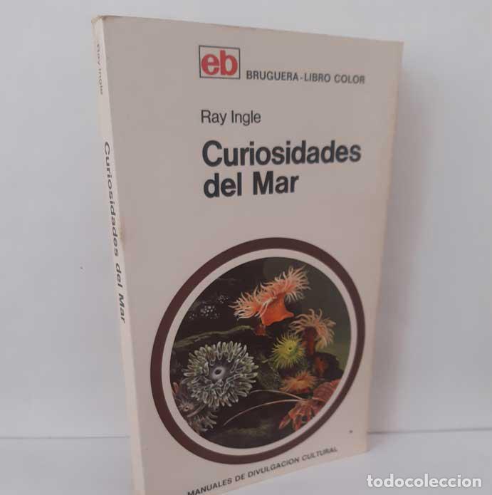 B&uuml;cher: CURIOSIDADES DEL MAR. FAUNA Y FLORA DEL LITORAL - INGLE, RAY