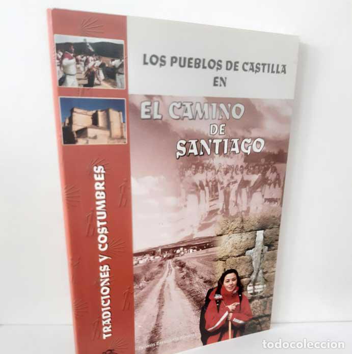 Livres: LOS PUEBLOS DE CASTILLA EN EL CAMINO DE SANTIAGO - ETXEBARRIA MIRONES, TXOMIN