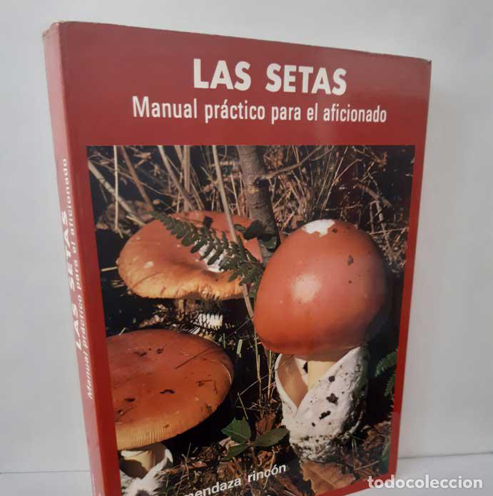 Libros: LAS SETAS. MANUAL PR&Aacute;CTICO PARA EL AFICIONADO - MENDAZA RINC&Oacute;N, RAM&Oacute;N - D&Iacute;AZ MONTOYA, GUILLERMO
