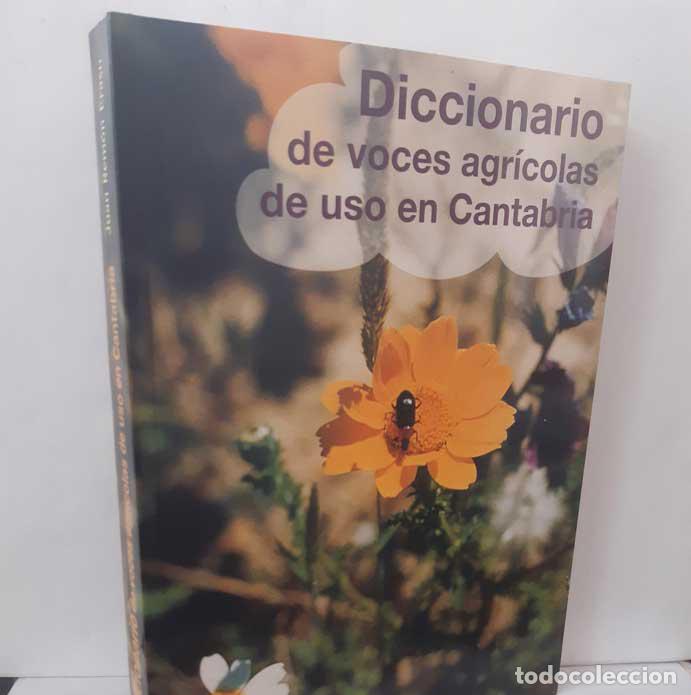 B&uuml;cher: DICCIONARIO DE VOCES AGR&Iacute;COLAS DE USO EN CANTABRIA - REM&Oacute;N ERASO, JUAN